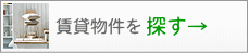 ���ݕ������